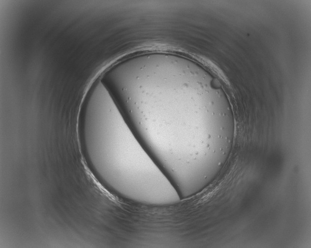 X0000084000839200702160754