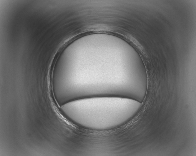 X0000084000840200702160754