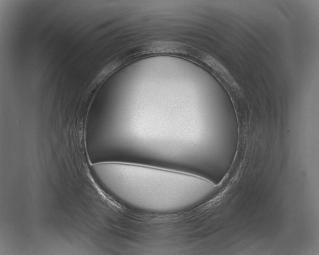 X0000084000841200702160754