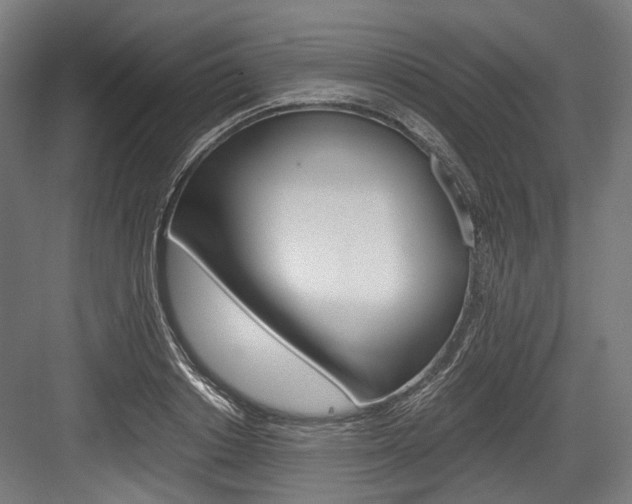 X0000084000842200702160754