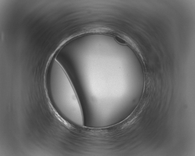 X0000084000843200702160754