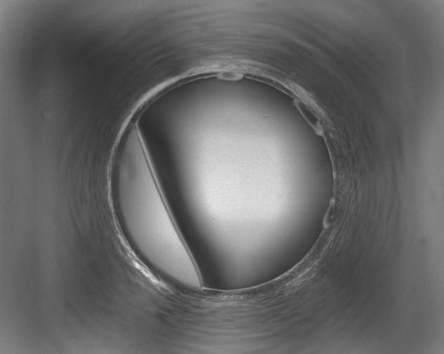 X0000084000846200702160754