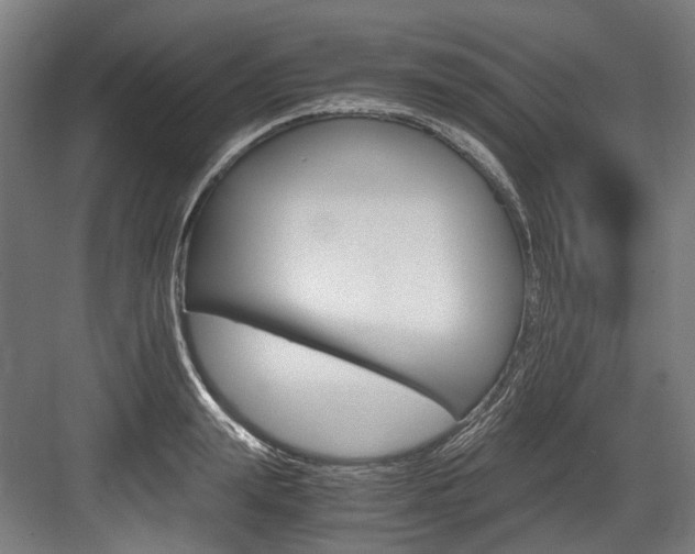 X0000084000847200702160754