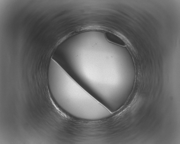 X0000084000849200702160754