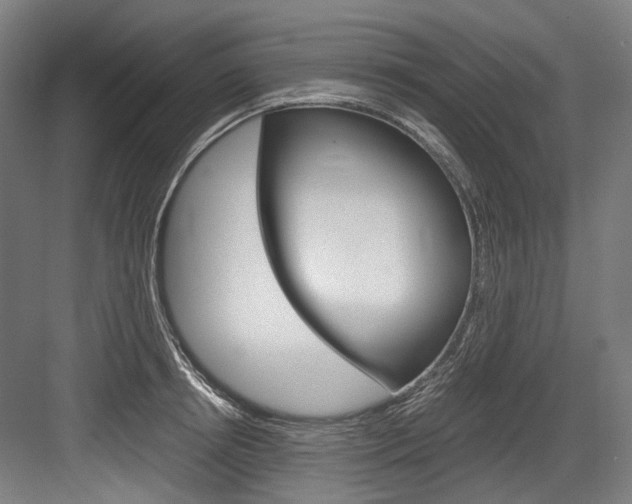 X0000084000850200702160754