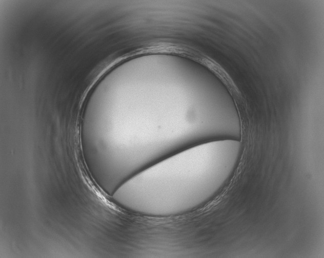 X0000084000852200702160754