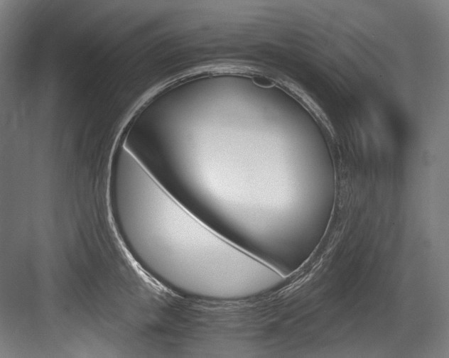 X0000084000853200702160754