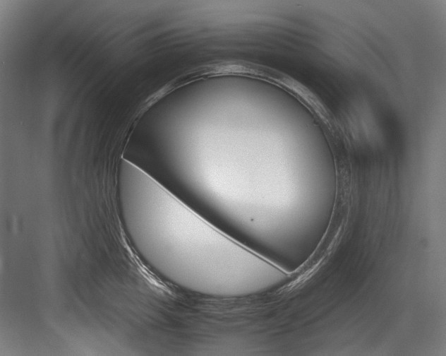 X0000084000857200702160755