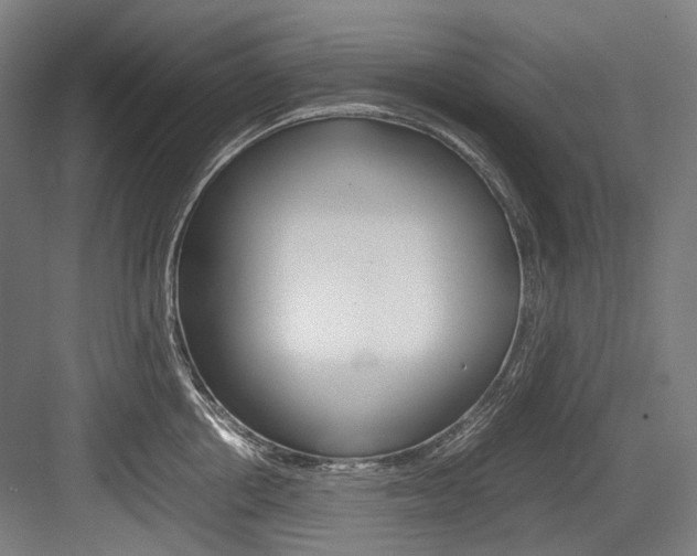 X0000084000858200702160755