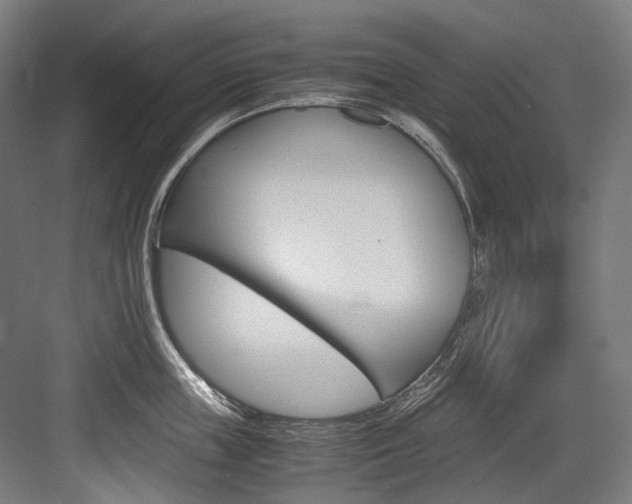 X0000084000859200702160755