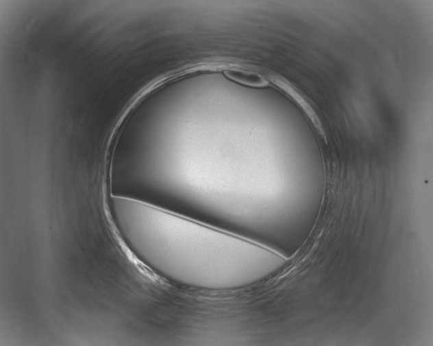 X0000084000861200702160755