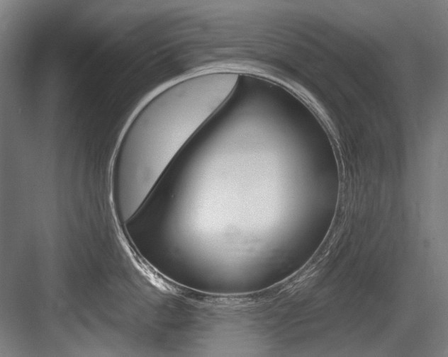 X0000084000862200702160755