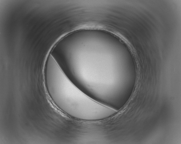 X0000084000864200702160755
