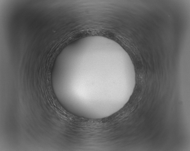 X0000084000865200702160754