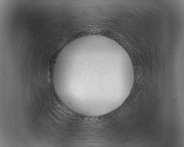 X0000084000866200702160754