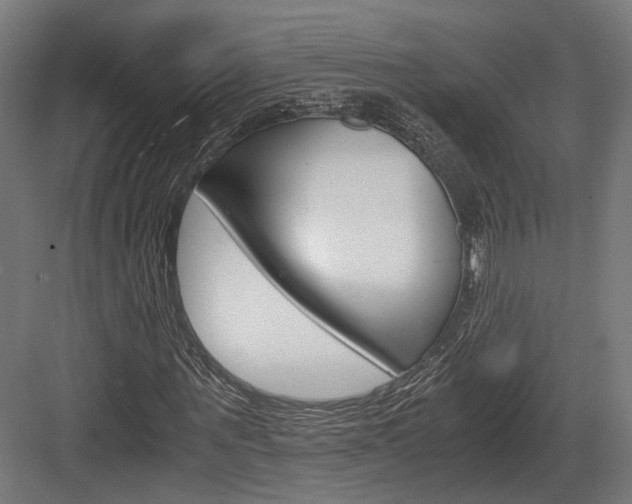 X0000084000867200702160754