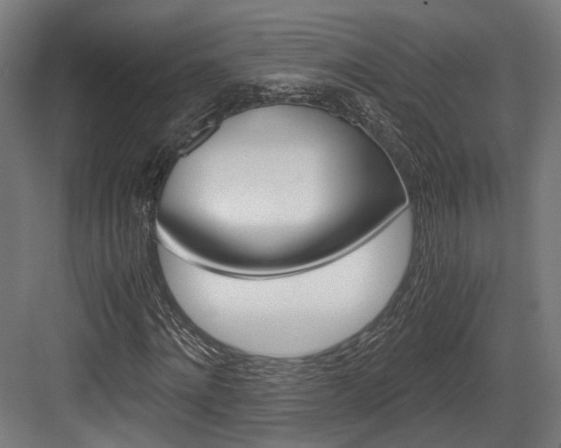 X0000084000868200702160754
