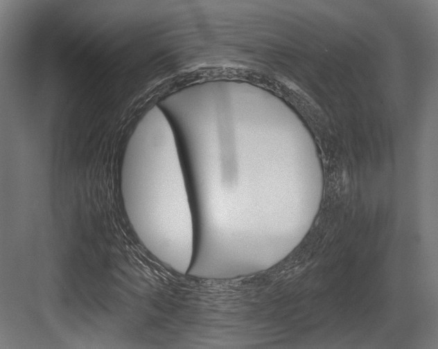 X0000084000870200702160754