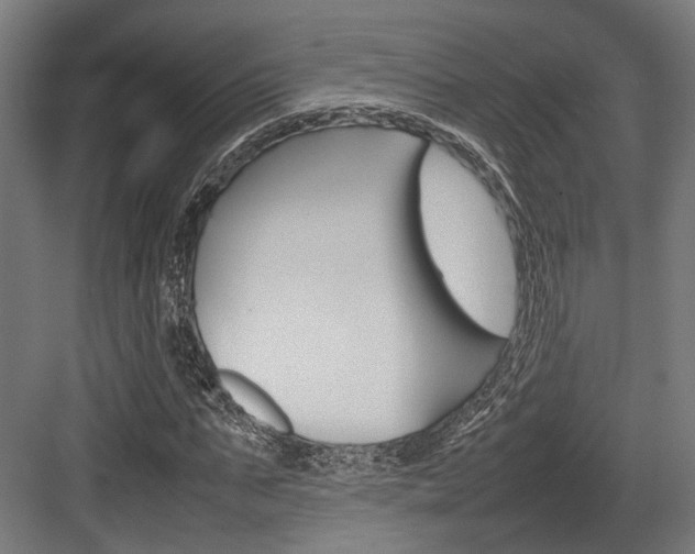 X0000084000871200702160754