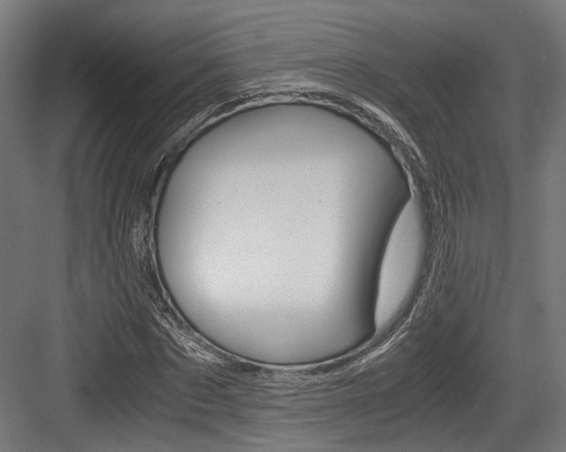 X0000084000873200702160754