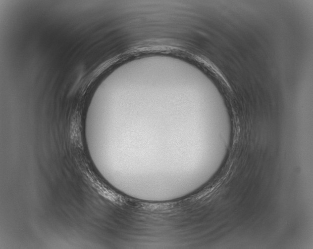 X0000084000874200702160754