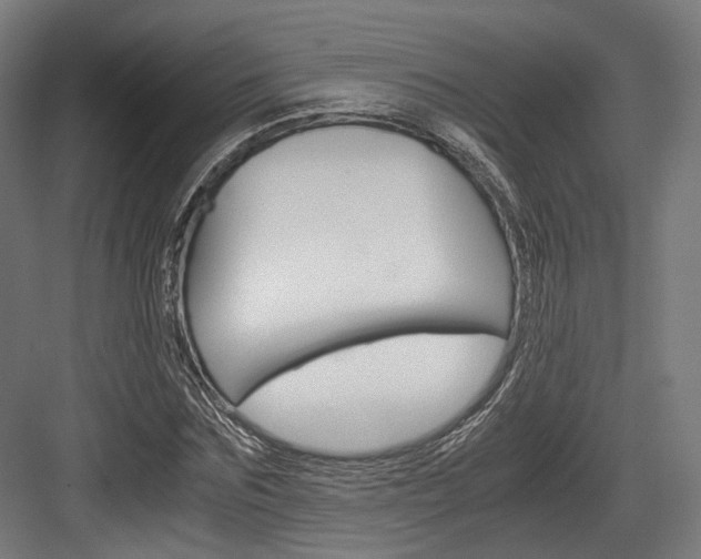 X0000084000875200702160754