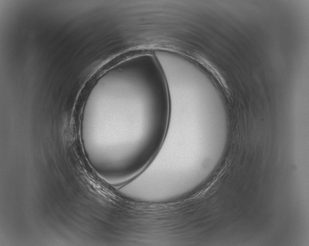 X0000084000876200702160754