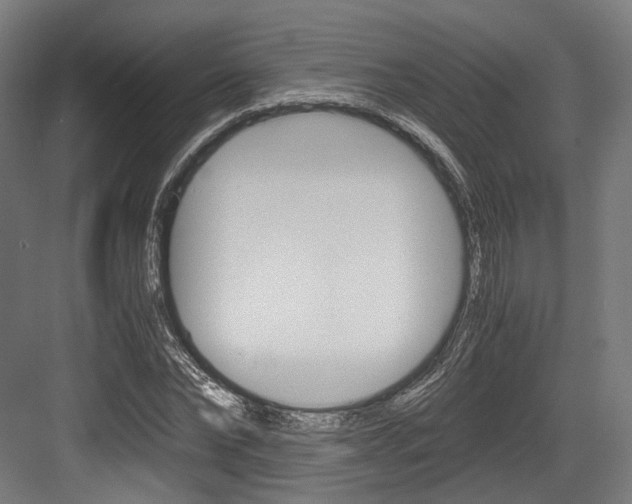 X0000084000878200702160754