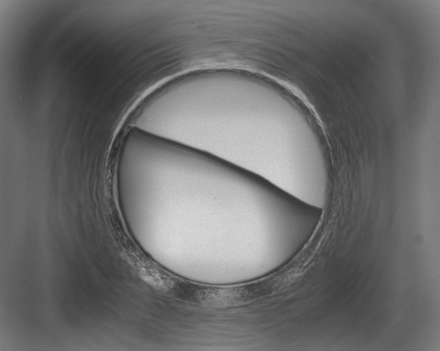 X0000084000879200702160754