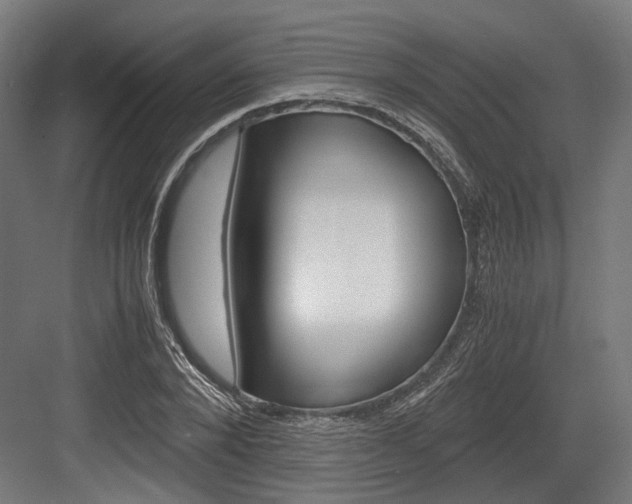 X0000084000880200702160754