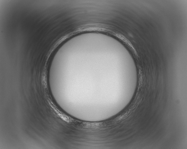 X0000084000882200702160754