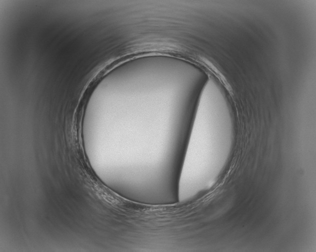 X0000084000883200702160754