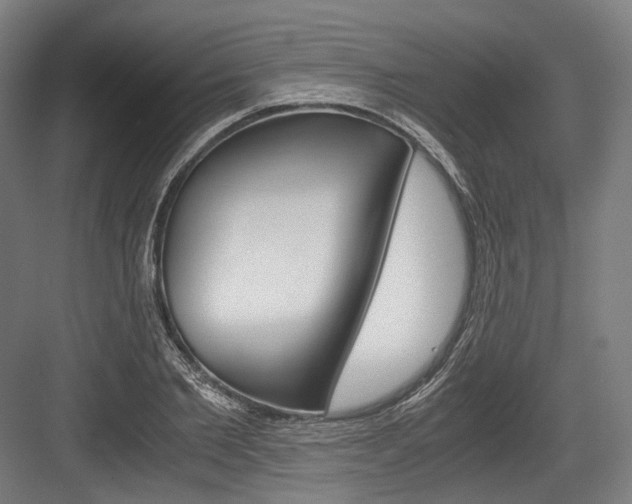 X0000084000885200702160754