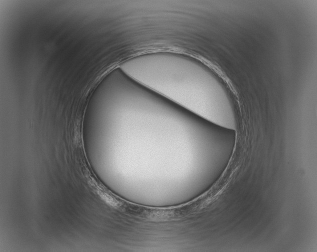 X0000084000889200702160753