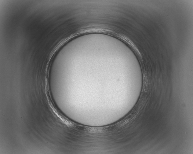 X0000084000890200702160753