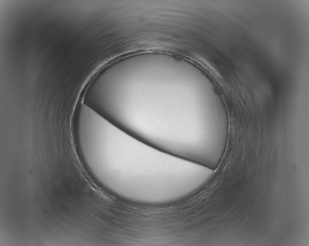 X0000084000891200702160753