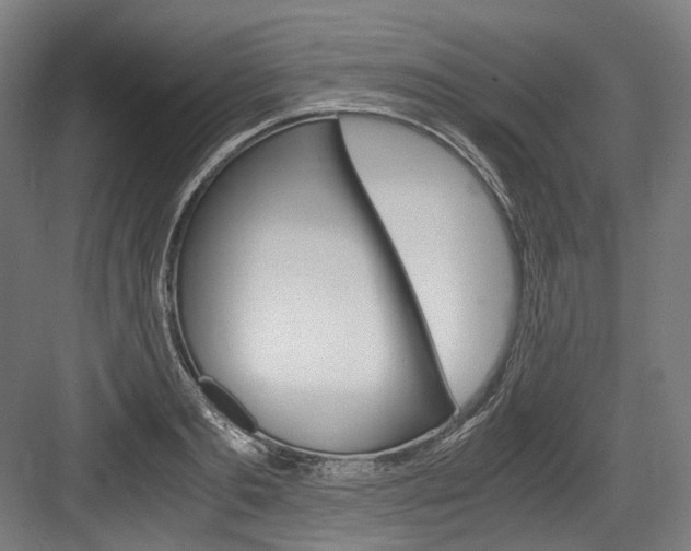 X0000084000893200702160753