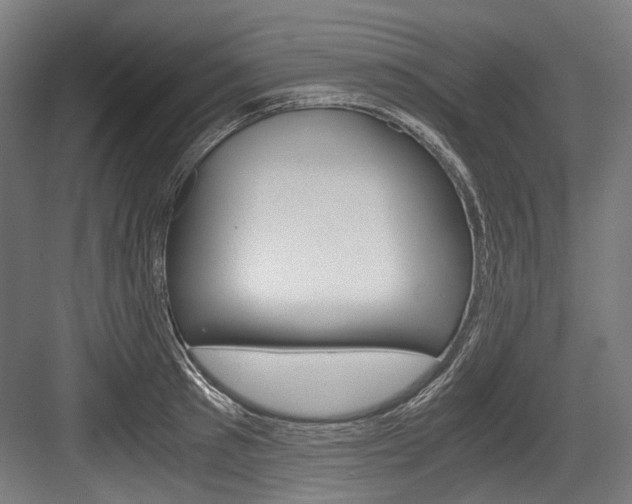 X0000084000897200702160753