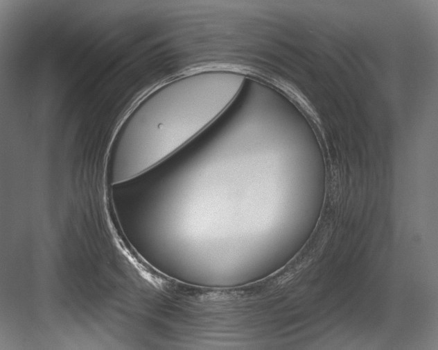 X0000084000898200702160753