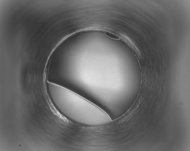 X0000084000900200702160753