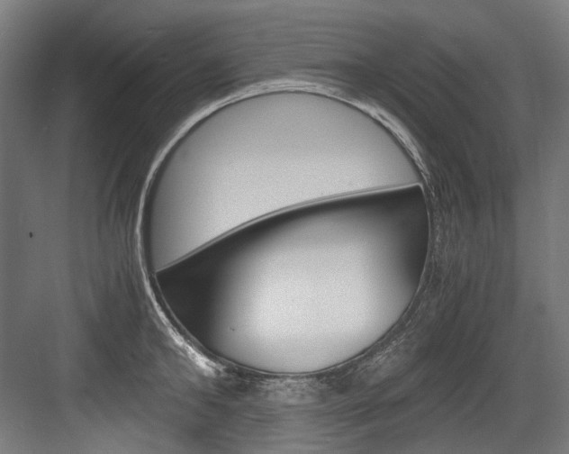 X0000084000902200702160753