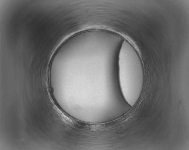 X0000084000903200702160753