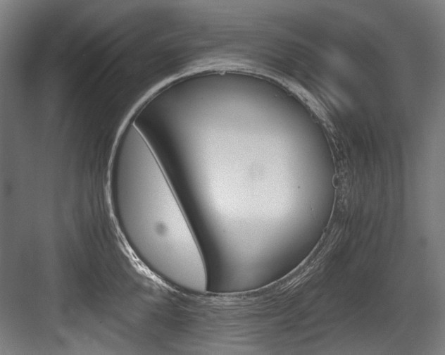X0000084000904200702160753