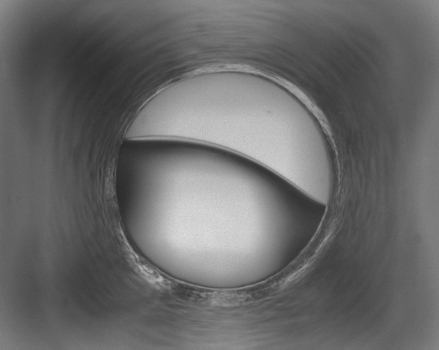 X0000084000905200702160753