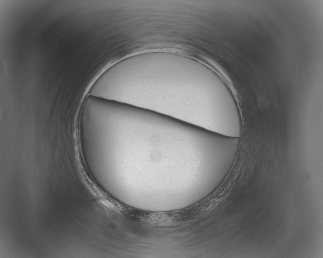 X0000084000907200702160753