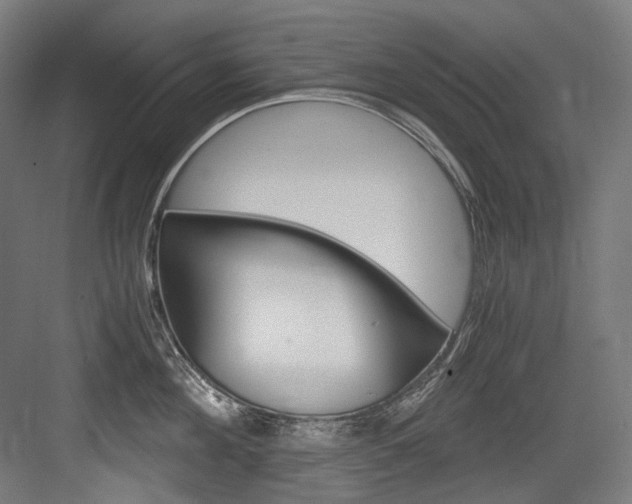 X0000084000908200702160753