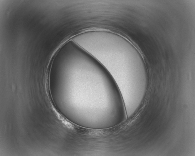 X0000084000909200702160753