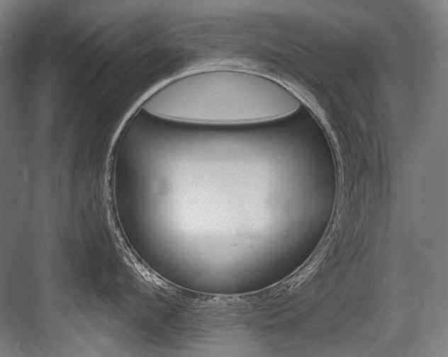X0000084000912200702160753