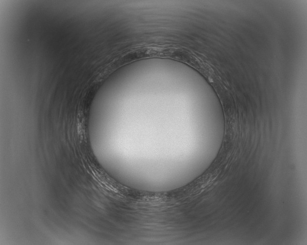 X0000084000914200702160752