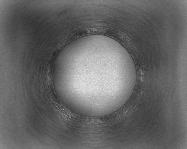 X0000084000915200702160752